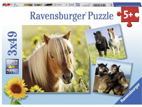 Ravensburger Puzzle 3x49 Kochane Konie (080113)