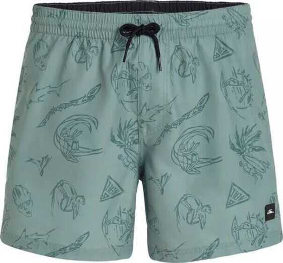 O Neill Męskie Szorty MIX & MATCH CALI PRINT 15'' SWIM SHORTS