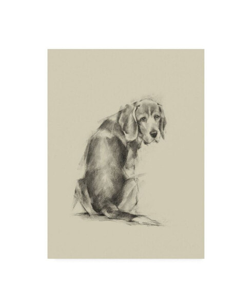 Ethan Harper Puppy Dog Eyes I Canvas Art - 19.5" x 26"