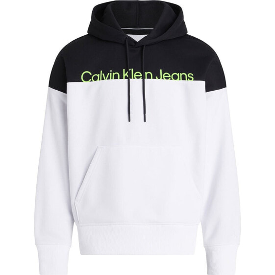 CALVIN KLEIN JEANS Institutional Colorblo hoodie