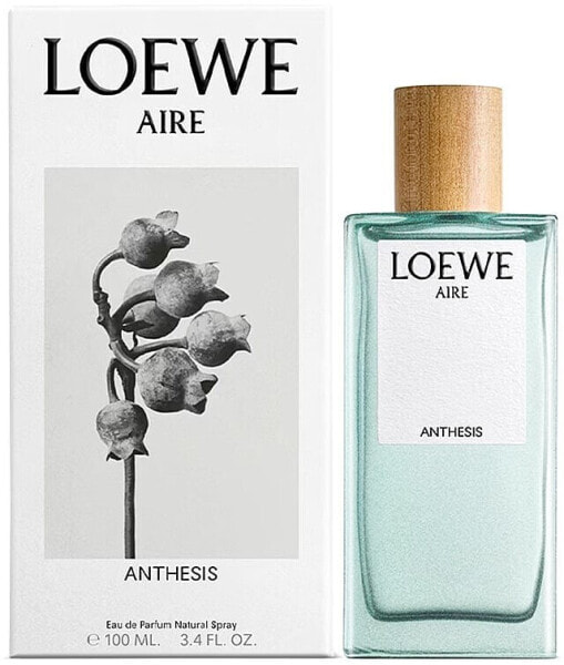 Loewe Aire Anthesis