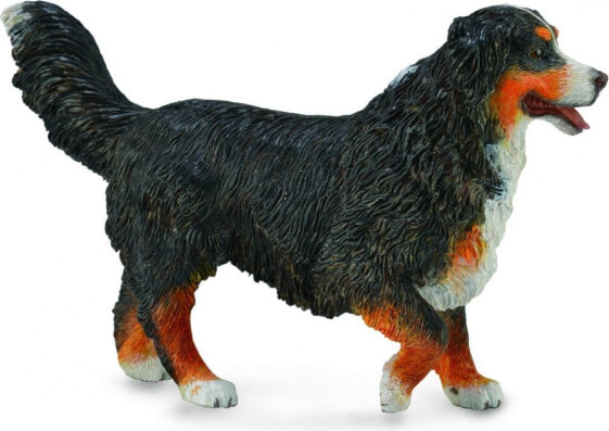 Фигурка Collecta Бернский Зенненхунд Bernese Mountain Dog фигурка Dog Show (Выставка собак)