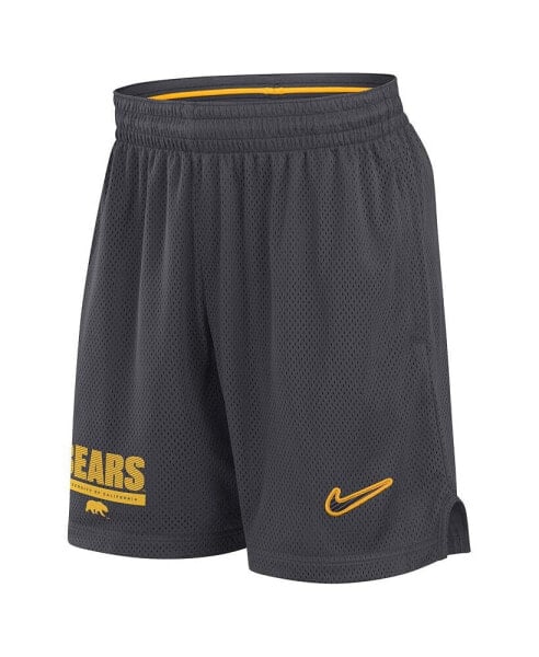 Men's Anthracite Cal Bears 2024 Sideline Mesh Shorts