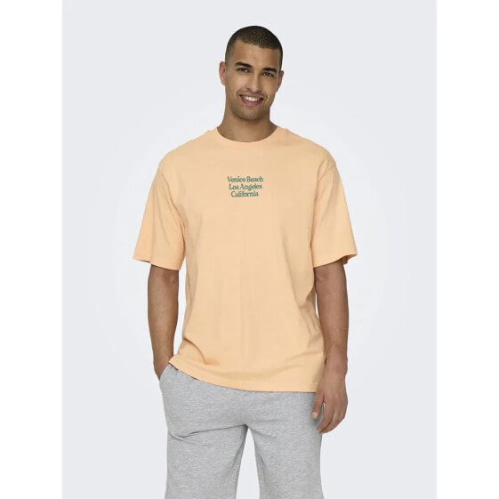 ONLY & SONS Kenny Rlx Text short sleeve T-shirt