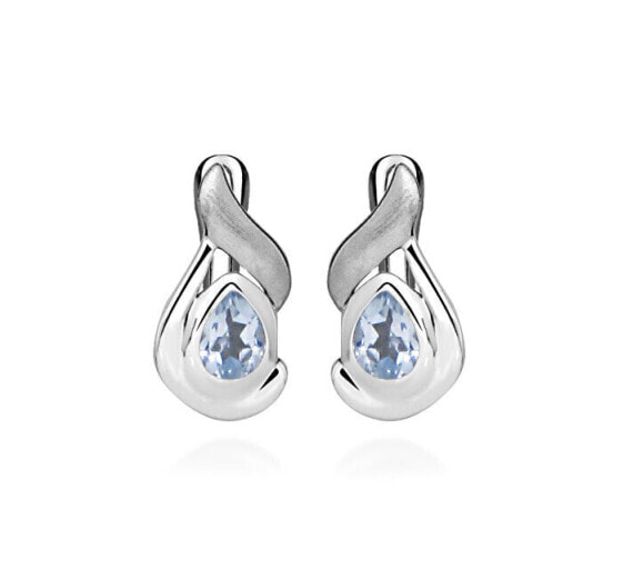 Delicate silver earrings SVLE0498SH8M400