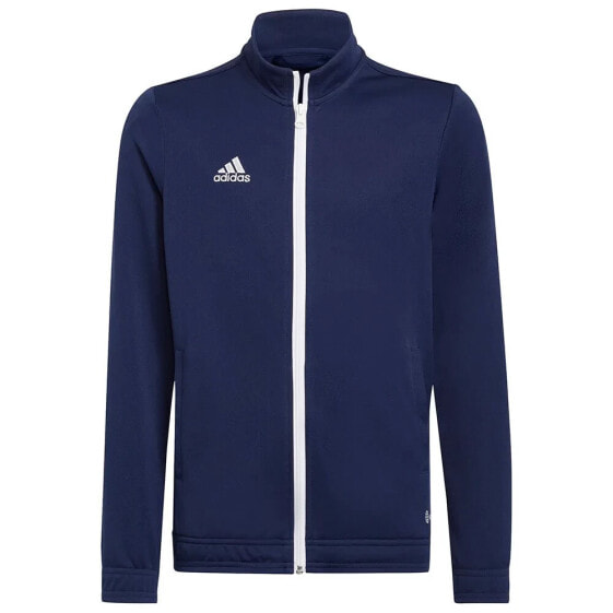 ADIDAS Entrada 22 Jacket