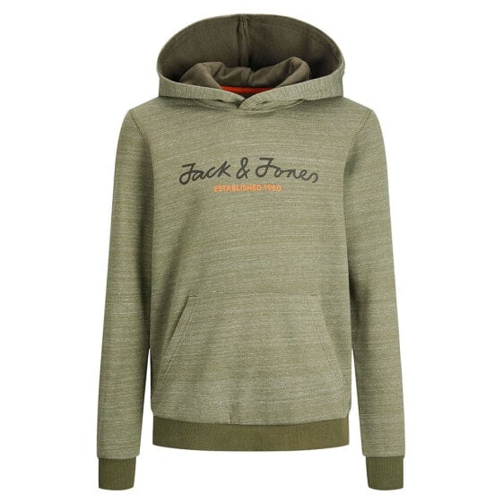 JACK & JONES Berg hoodie