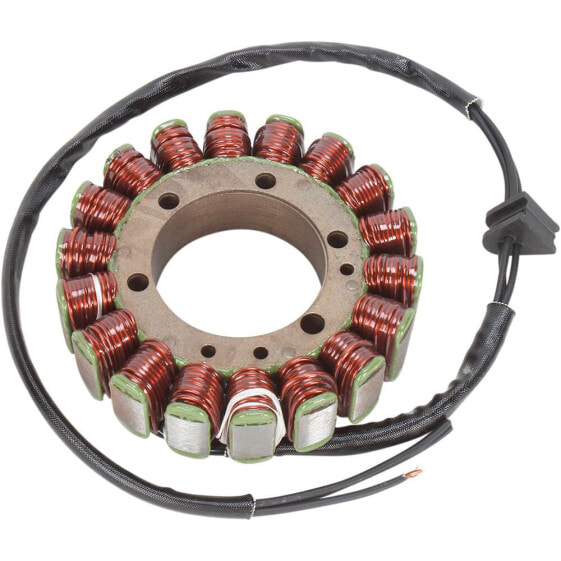 RICKs MOTORSPORT ELECTRIC OEM Aprilia 21-004 Stator