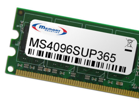 Memorysolution Memory Solution MS4096SUP365 - 4 GB - Green