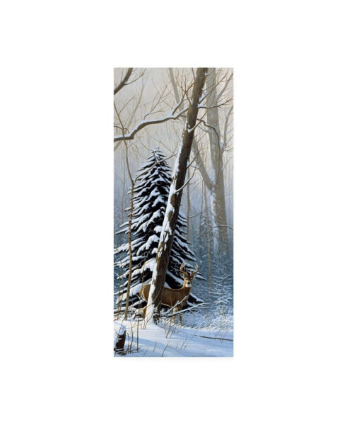 Michael Budden Winter Light, Buck Canvas Art - 20" x 25"