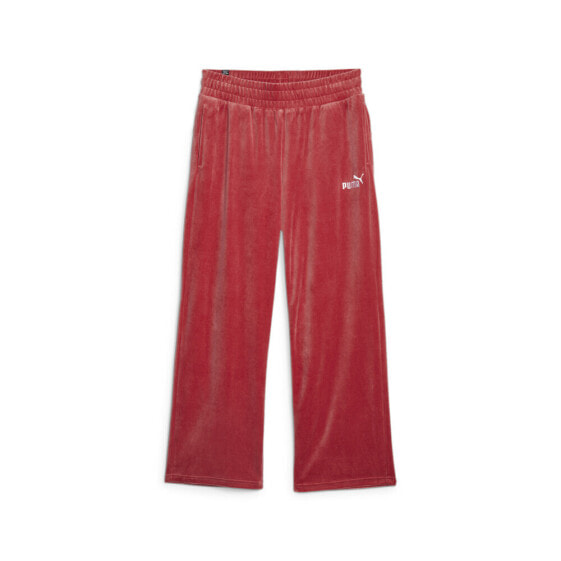 Puma Essentials Elevated Velour Straight Pants Womens Red Casual Athletic Bottom