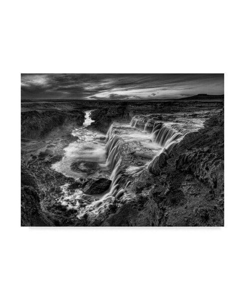 David Drost Black and White Desert View II Canvas Art - 37" x 49"