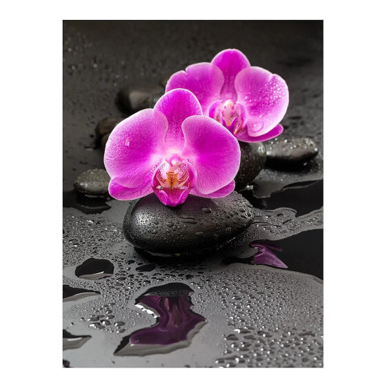 Vinylteppich Orchideenblüten auf Steinen