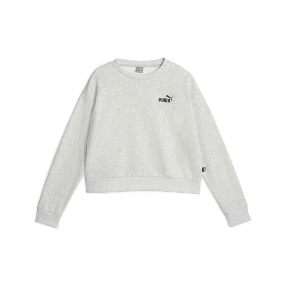 PUMA Ess+ Relaxed Small L sweatshirt