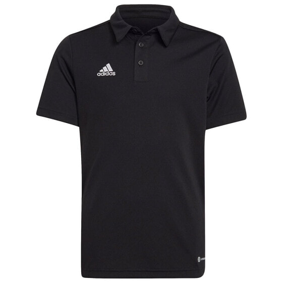 ADIDAS Entrada 22 short sleeve polo