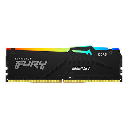 Kingston FURY Beast RGB - 8 GB - 1 x 8 GB - DDR5 - 5600 MHz - 288-pin DIMM