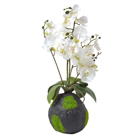 Искусственные цветы Homescapes Phalaenopsis Orchidee weiß 60 см