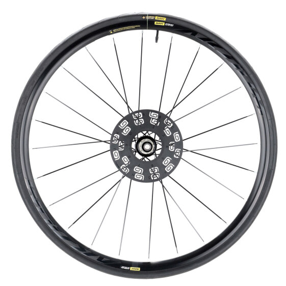 Mavic Aksium Elite Road Bike Rear Wheel, 700c, 12x142mm, TA, Disc, 6-Bolt,Campy