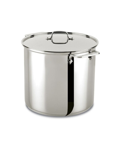 Stainless Steel 16 Qt. Stockpot with Lid