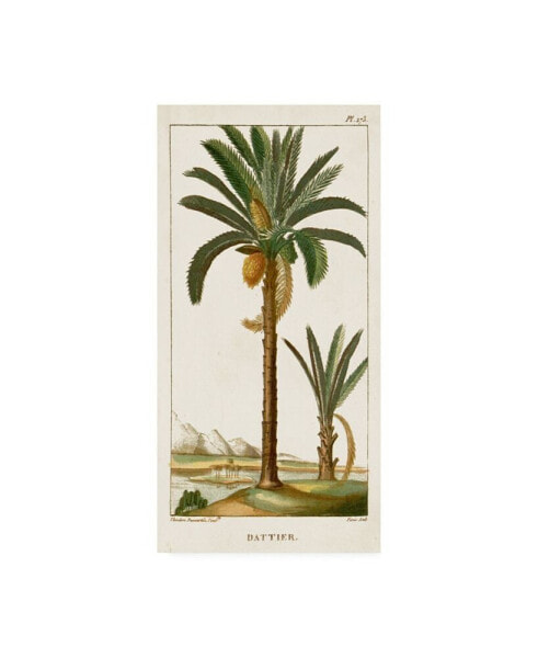 Turpin Turpin Exotic Palms IV Canvas Art - 20" x 25"