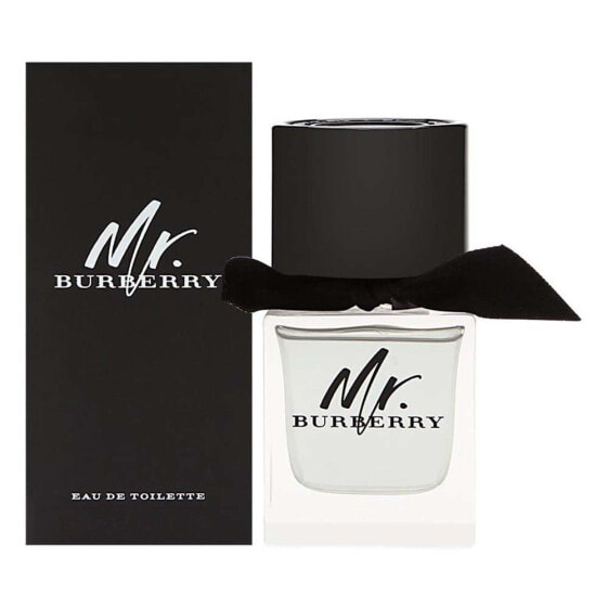 BURBERRY Mr 100ml Eau De Toilette