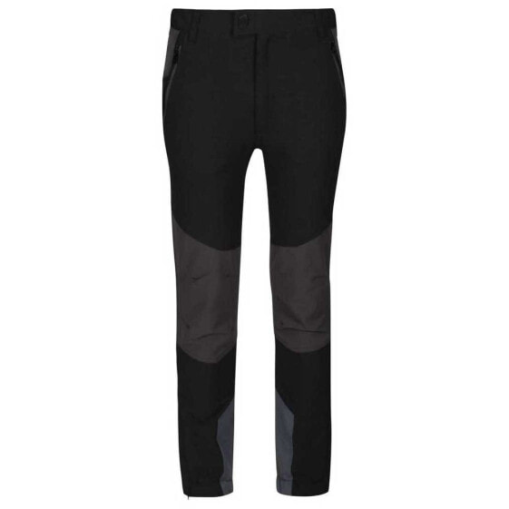 REGATTA Tech Mountain Pants