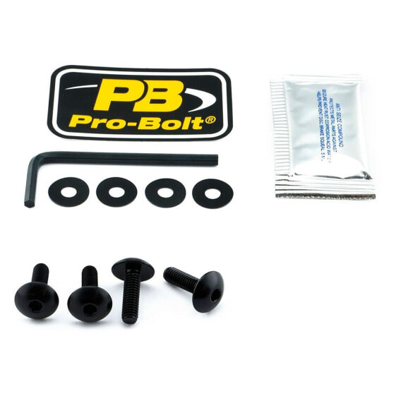 PRO BOLT SCR 4 SK110BK Windshield Screws