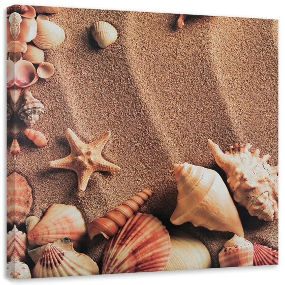 Leinwandbild Muscheln auf trockenem Sand