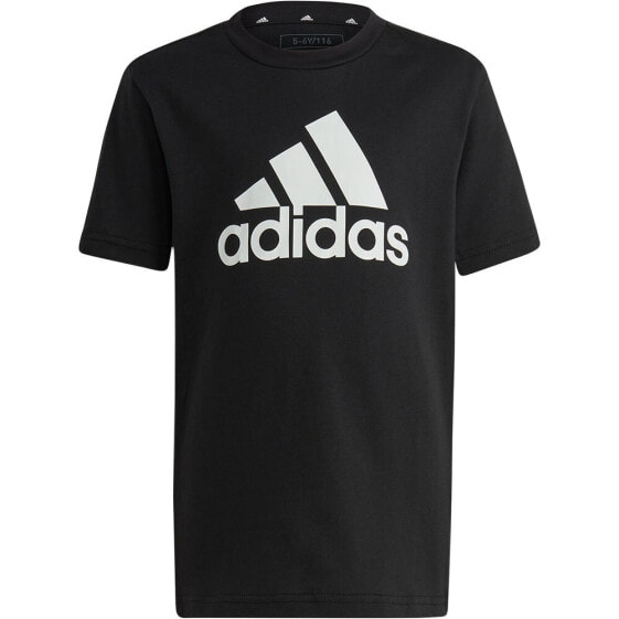 ADIDAS Lk Bl Co short sleeve T-shirt