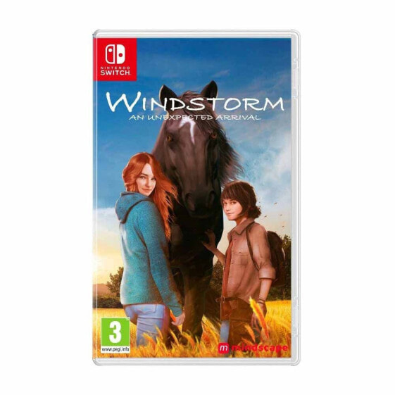 NINTENDO GAMES Switch Windstorm An Unexpected Arrival