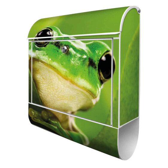 Briefkasten Stahl Frosch