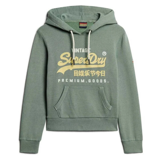 SUPERDRY Puff Print Vl Graphic hoodie