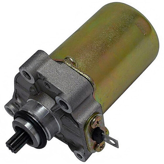 SGR 12V 0.30Kw 9 Teeth Left Rotation 4178165 Starter