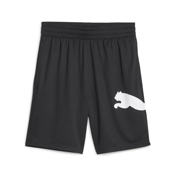 PUMA Train All Day Big Ca sweat shorts