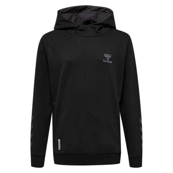 Толстовка для детей Hummel Offgrid Cotton Hoodie