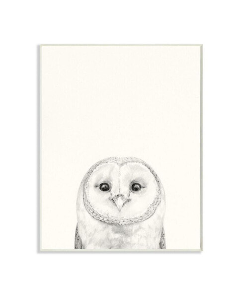 Owl Portrait Gray Drawing Design Art, 13" x 19"