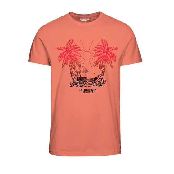 JACK & JONES Aruba 1 short sleeve T-shirt