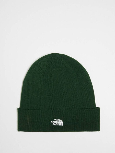 The North Face Norm beanie in pine green