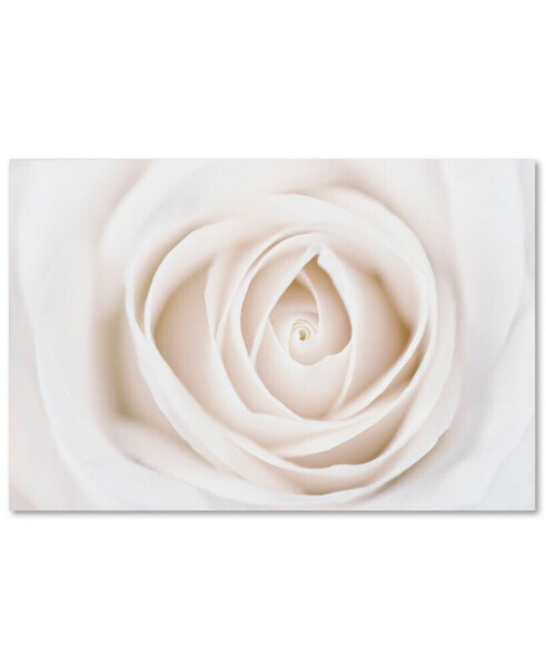 Cora Niele 'White Rose' Canvas Art - 47" x 30" x 2"