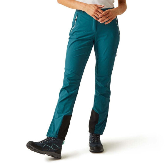 REGATTA Mountain III Pants