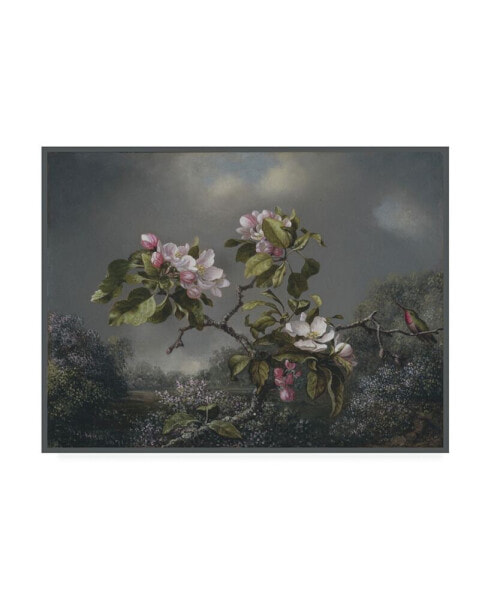 Martin Johnson Heade Apple Blossoms and Hummingbird Canvas Art - 15.5" x 21"
