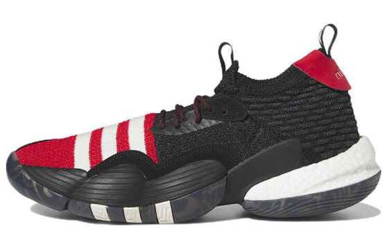 Кроссовки Adidas Trae Young 2.0 IF2163