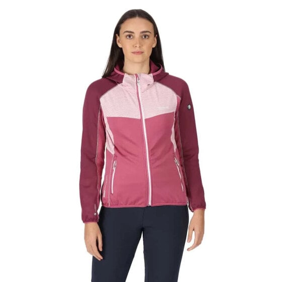 REGATTA Attare softshell jacket