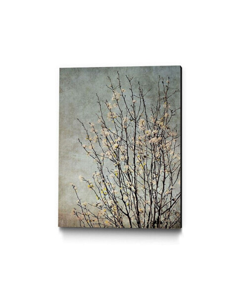 24" x 18" Tree II Museum Mounted Canvas Print