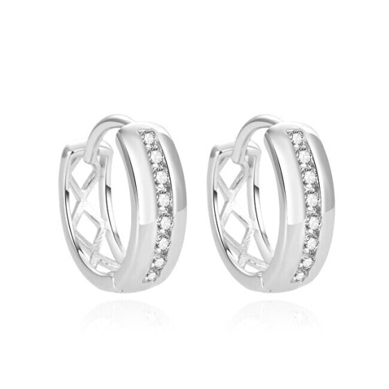 Glittering silver earrings with zircons AGUC1471