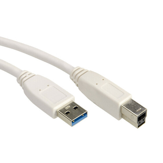 VALUE USB 3.0 Cable - A - B - M/M 0.8 m - 0.8 m - USB A - USB B - USB 3.2 Gen 1 (3.1 Gen 1) - Male/Male - White