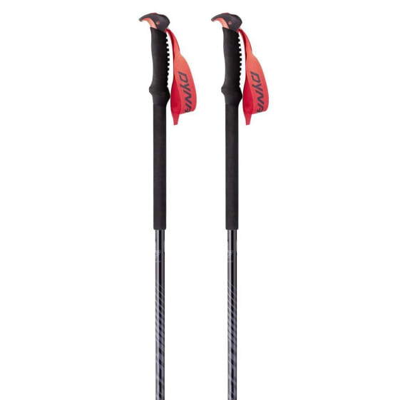 DYNAFIT Tour Poles