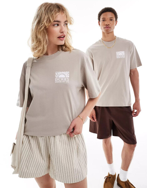 Dickies saltville t-shirt in sand