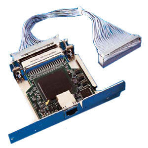 Zebra 10/100 Print Server - Internal - Wired - RJ-45 - 100 Mbit/s - Blue - Purple