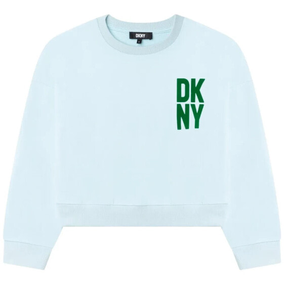 DKNY D35S49 sweatshirt